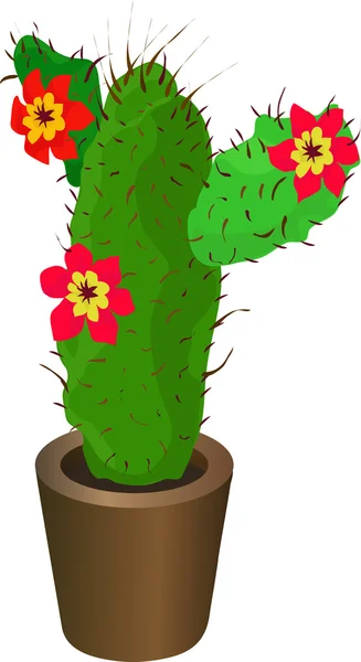 Un cactus — Archivo Imágenes Vectoriales