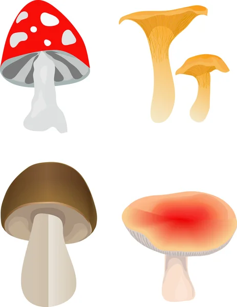 一套蘑菇 — 图库矢量图片