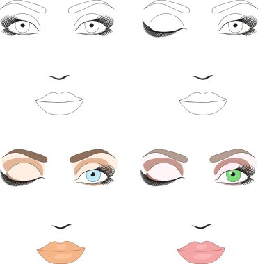 Samples of woman face scheme for makeup application. Eps 10 clipart