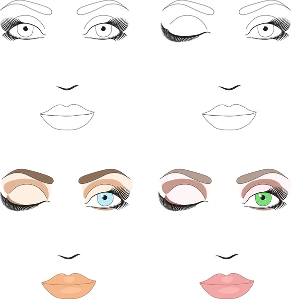 Muestras de esquema de cara de mujer para la aplicación de maquillaje. Eps 10 — Vector de stock