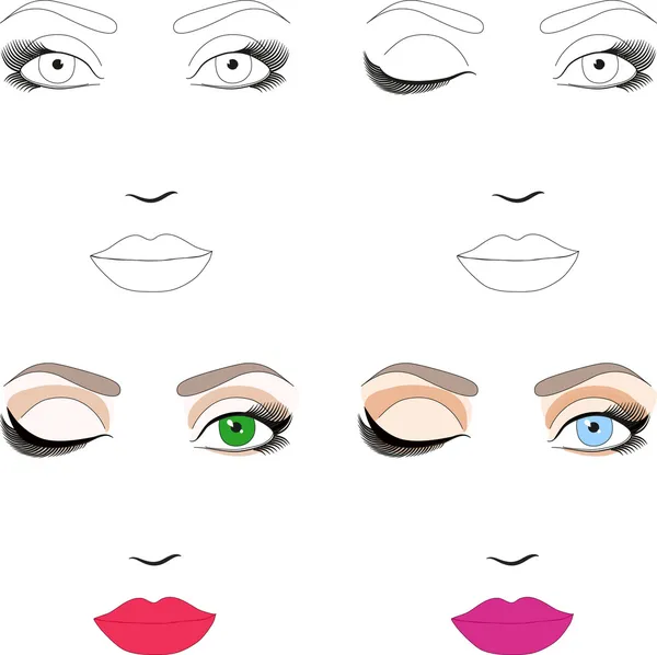 化粧アプリケーションのための女性の顔スキームのサンプル。eps 10 — ストックベクタ