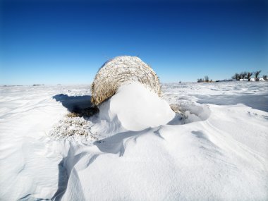 Hay bale in snow. clipart