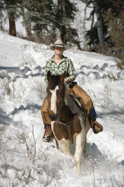 Attractive Young Woman Riding a Horse the Snow clipart