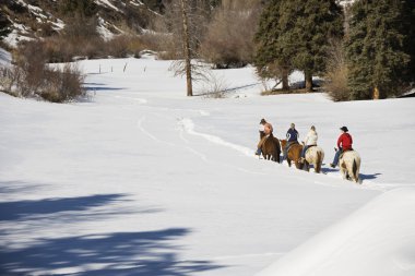 Group horseback riding in winter. clipart