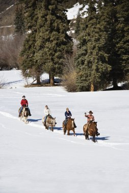 Group horseback riding in snow. clipart