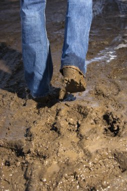 Legs walking through mud. clipart
