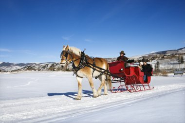 Sleigh ride. clipart