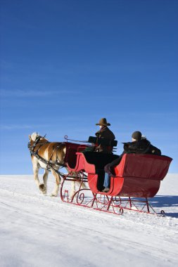 Sleigh ride. clipart