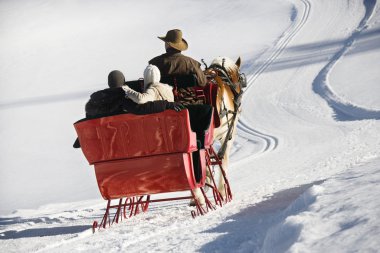 Horse-drawn sleigh ride. clipart