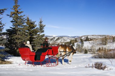 Winter sleigh ride. clipart