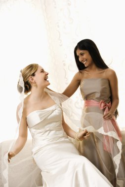 Bridesmaid holding bride's veil. clipart