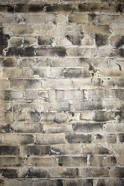 Muro di mattoni . — Foto Stock