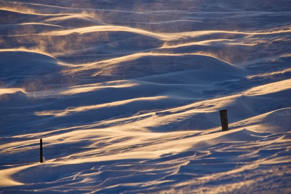 Neve com cerca . — Fotografia de Stock