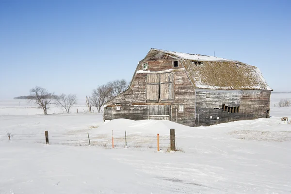 Barn in snow. — Stock Photo, Image