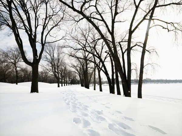 Snö täckta trail. — Stockfoto