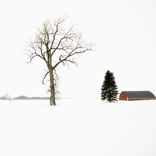 Červená stodola v zimě. — Stock fotografie