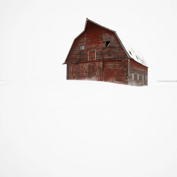 Ladugården på vintern. — Stockfoto