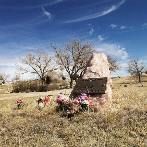 廃棄 (tombstone) の花を持つ. — ストック写真