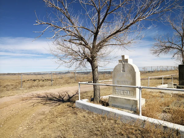 Headstone no cemitério . — Fotografia de Stock