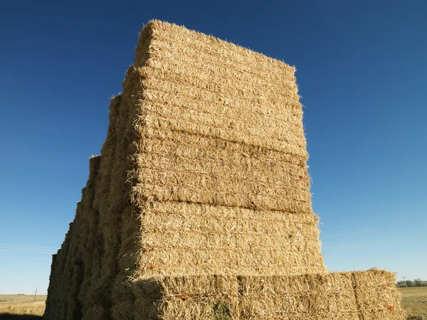 Bales of hay. — Stock Photo, Image