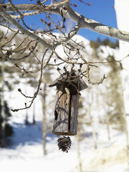Birdhouse suspendu en bois — Photo