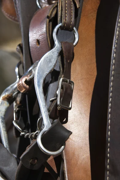 stock image Detail of Horse Bridle