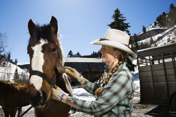 Aantrekkelijke jonge vrouw grooming paard — Stockfoto