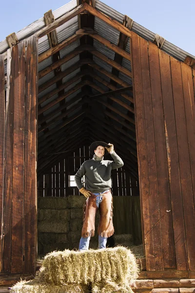Aantrekkelijke jonge man staande op een baal hooi — Stockfoto