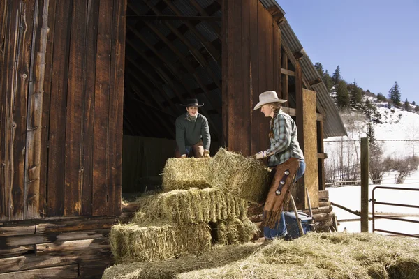 Attractive Couple Moving Hay Bales — Stock Photo, Image