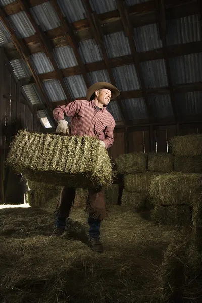 Человек в сарае передвигает балки сена — стоковое фото