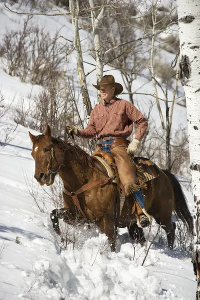 Homem montando um cavalo a neve — Fotografia de Stock