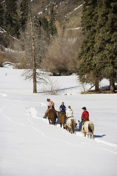 Groep paardrijden in sneeuw. — Stockfoto