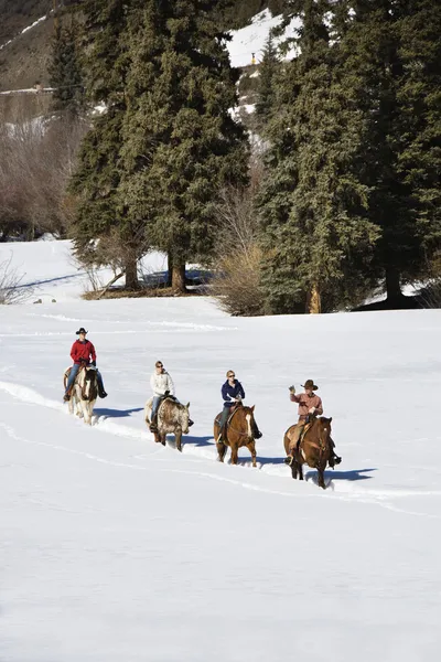 Groep paardrijden in sneeuw. — Stockfoto