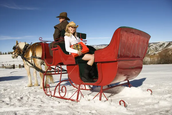 Horse-drawn sleigh ride. — Stock Photo, Image