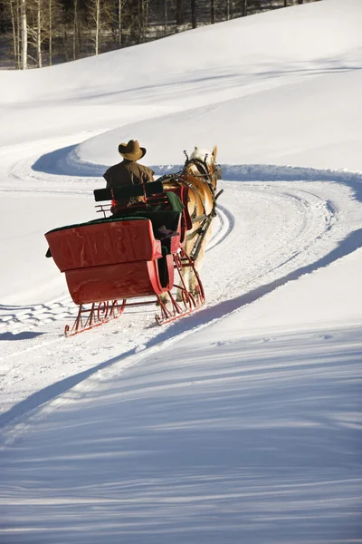 Man in horse drawn sleigh. — Stock Photo, Image