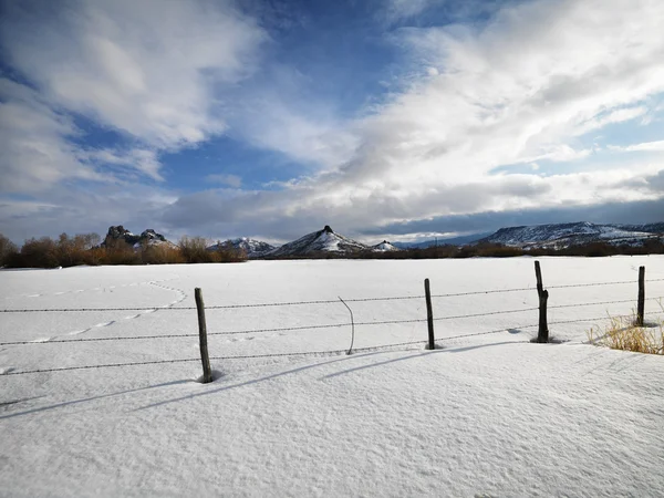 Зимний пейзаж Колорадо . — стоковое фото