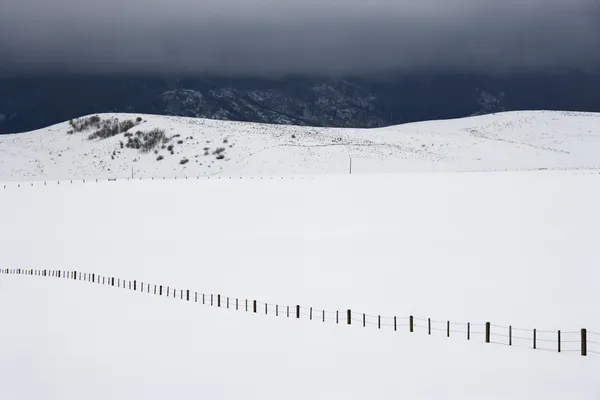 Снежное поле с забором . — стоковое фото