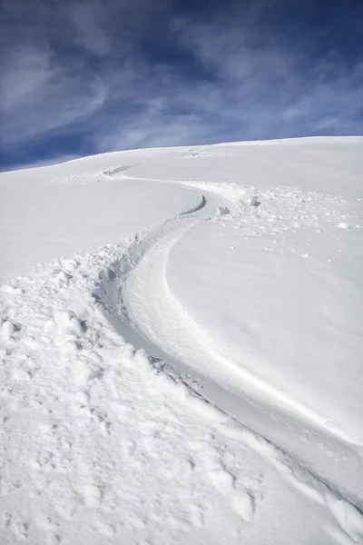 Sneeuwscooter trail. — Stockfoto