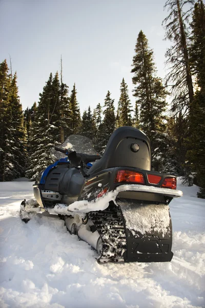 Moto de nieve en bosque . — Foto de Stock