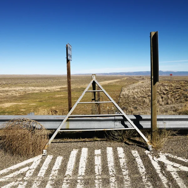 Tumbleweed yolun tarafında. — Stok fotoğraf