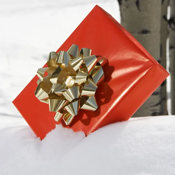 Present in snow. Stock Photo
