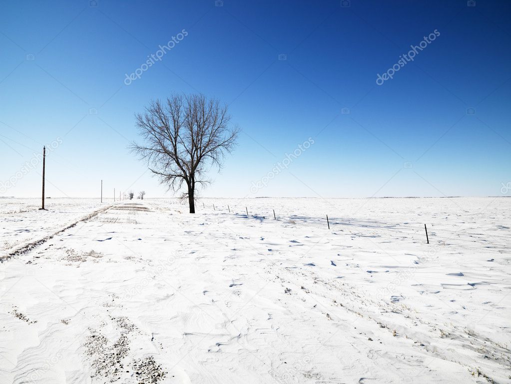 Schneemobil Kreuzungsschild