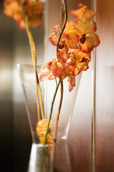 Orchidea w wazonie. — Zdjęcie stockowe