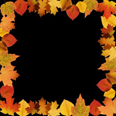 Autumn frame clipart