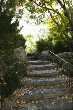 Stone steps. clipart