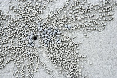 Pebbles in sand. clipart