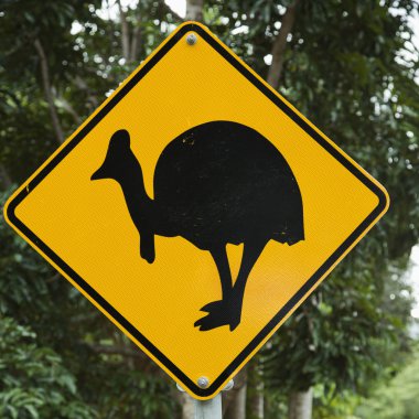 Cassowary geçiş işareti.