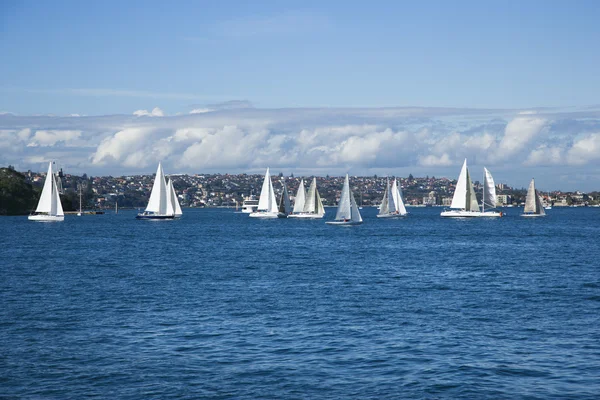 Sailboats, Sydney, Australia. — Stock Photo, Image