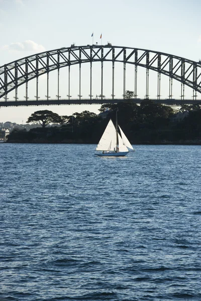Sydney harbour bridge und boot. — Stockfoto
