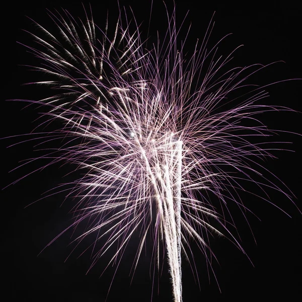 Fuochi d'artificio di notte. — Foto Stock